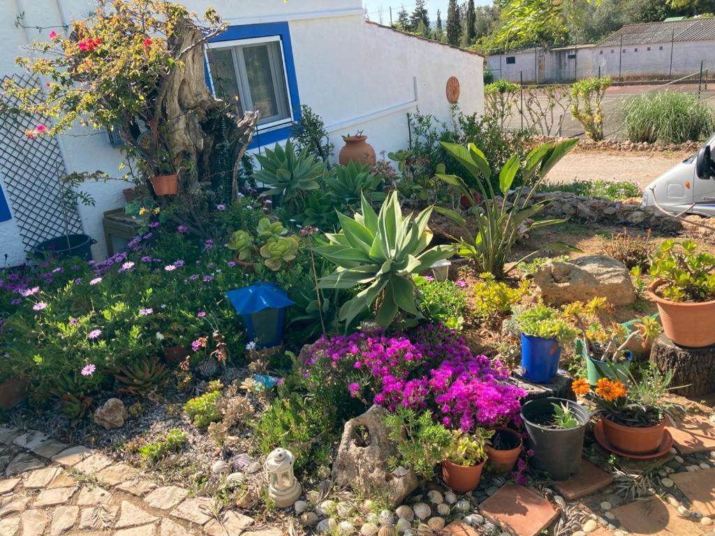 Villa Casa Aleg Albufeira Exterior foto
